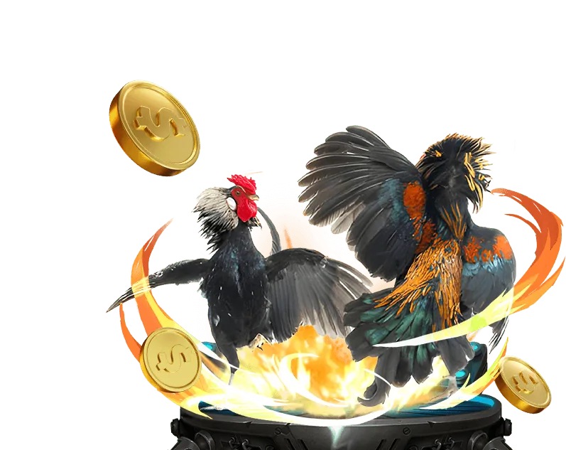 Đá gà trực tiếp kịch tính